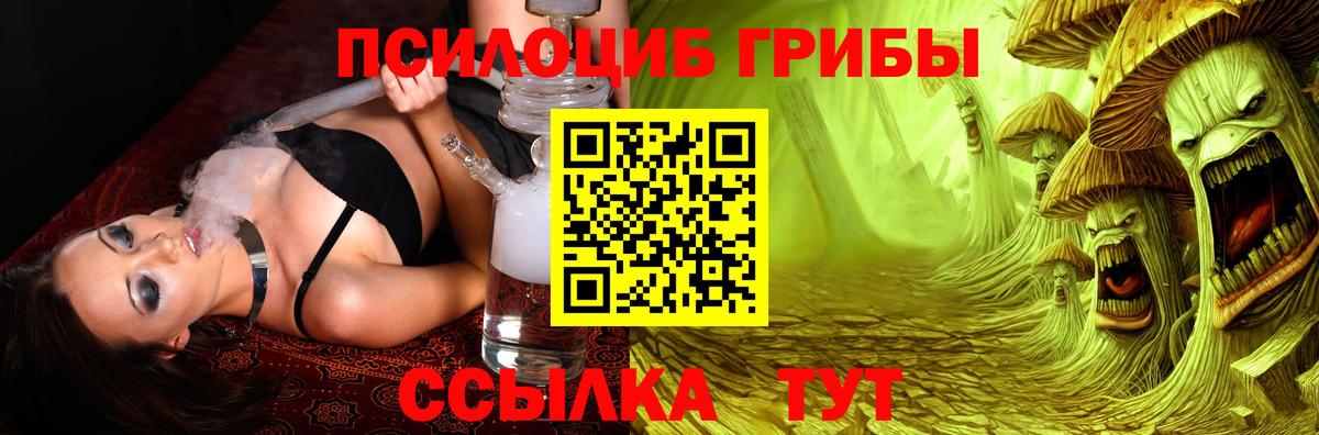 Алатырь  Галлюциногенные грибы Cubensis  Псилоцибиновые грибы прущие грибы  Вход с VPN 