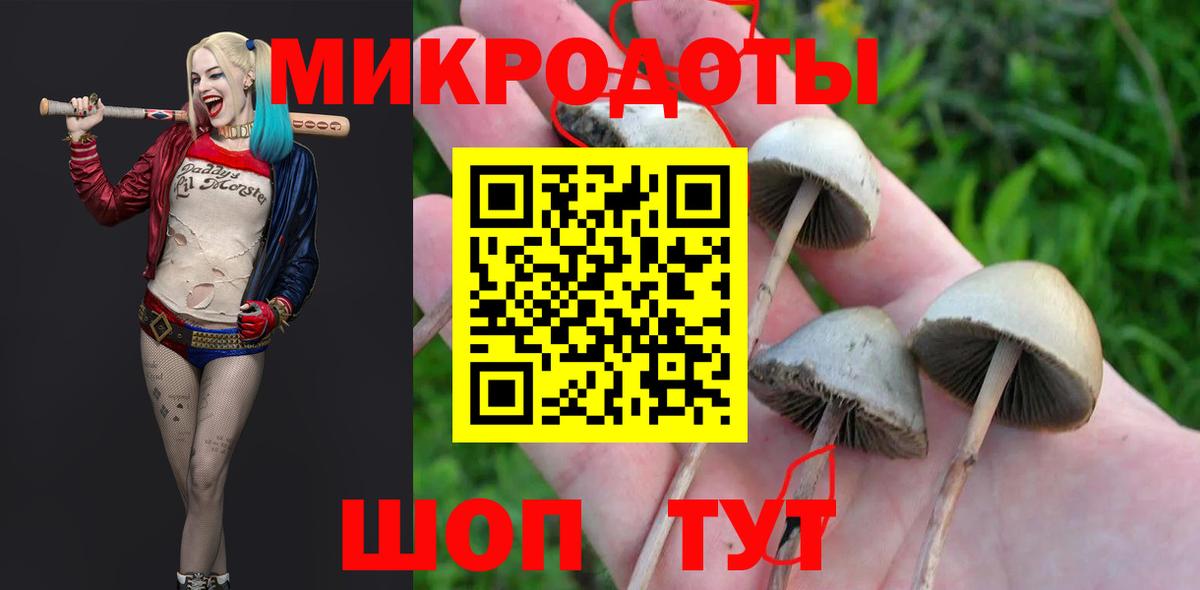 Псилоцибиновые грибы GOLDEN TEACHER Алатырь